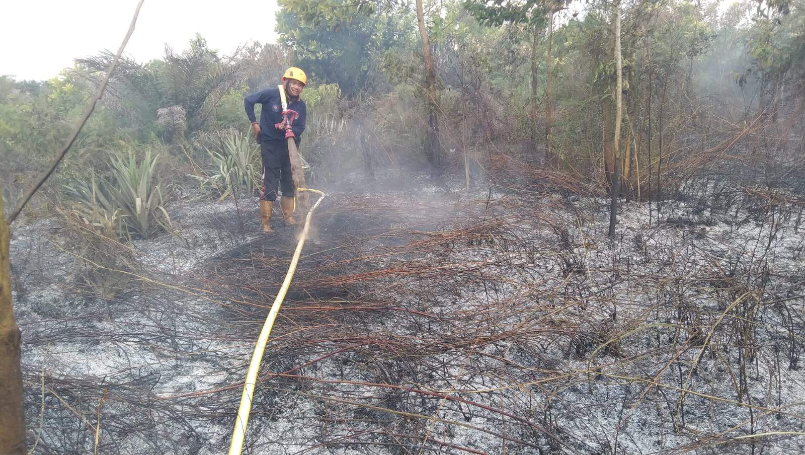 upaya memperkuat sinergi lintas sektor dalam menghadapi musim kemarau dan potensi kebakaran hutan dan lahan (karhutla)